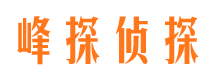 岱岳侦探公司